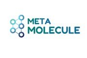 META MOLECULE Logo